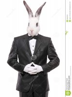 conejo-que-presenta-en-un-traje-de-la-pajarita-30045163.jpg